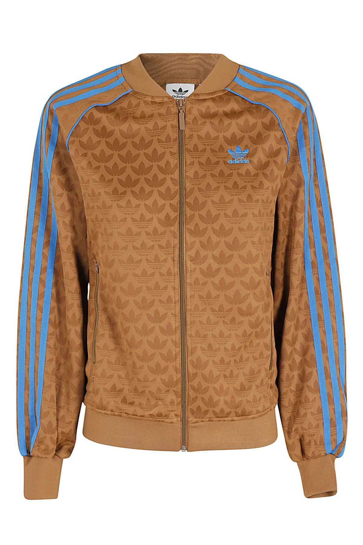 ADIDAS ORIGINALS SSTR TT shopping online